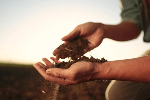 Ecospray History Link